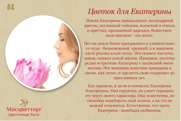 Рисунок 13.png Рисунок 13.png